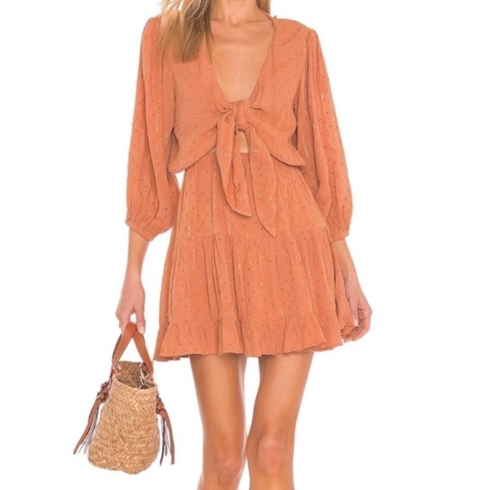 L*Space Stay Golden Mini Dress in Brown XSmall
